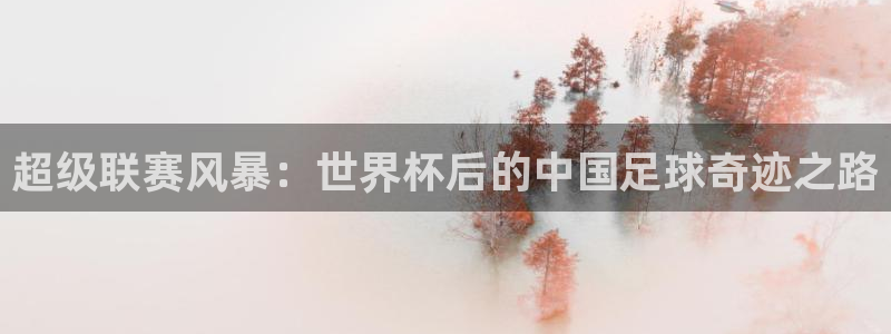 超级联赛风暴：世界杯后的中国足球奇迹之路
