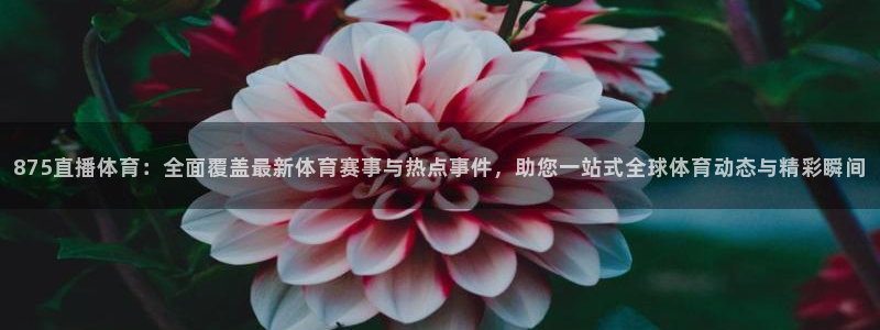875直播体育：全面覆盖最新体育赛事与热点事件，助您一站式全球体育动态与精彩瞬间