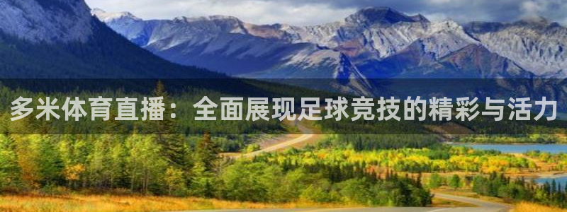 多米体育直播：全面展现足球竞技的精彩与活力