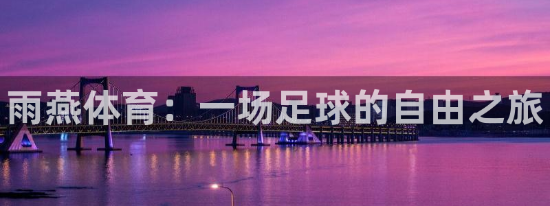 雨燕体育：一场足球的自由之旅