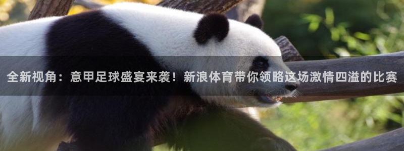 全新视角：意甲足球盛宴来袭！新浪体育带你领略这场激情四溢的比赛