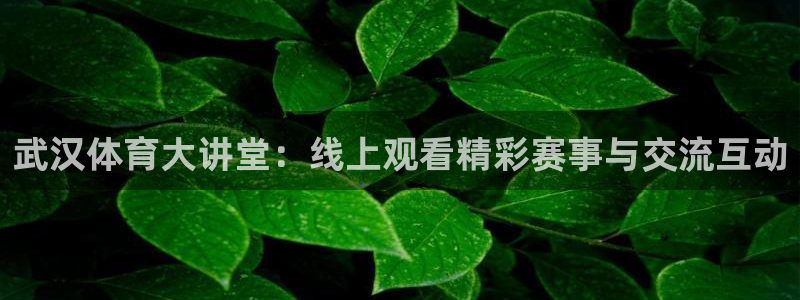 武汉体育大讲堂：线上观看精彩赛事与交流互动