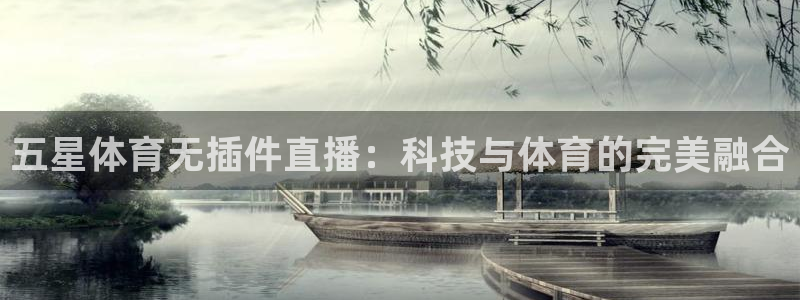 五星体育无插件直播：科技与体育的完美融合