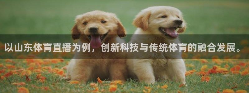 以山东体育直播为例，创新科技与传统体育的融合发展。