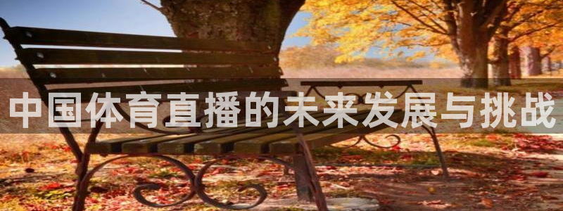 中国体育直播的未来发展与挑战