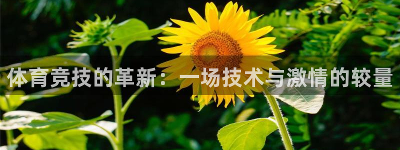 体育竞技的革新：一场技术与激情的较量